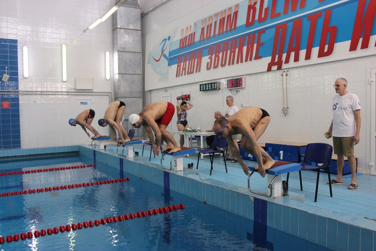 Дельфин бассейн.jpg